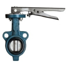 Gear Drive Butterfly Valve D71-10Q